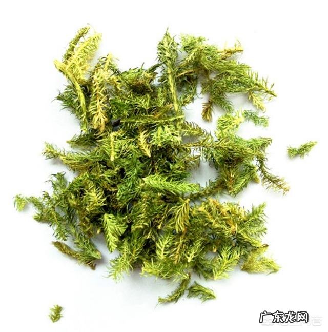 用什么泡脚可以疏通经络?