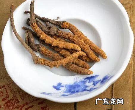 冬虫夏草具有防癌抗癌的功能吗