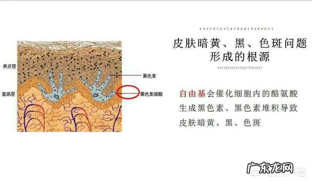 最近感觉皮肤状态特别差,脸色蜡黄还开始长斑了,怎么办? 脸上突然长斑皮肤暗黄怎么办