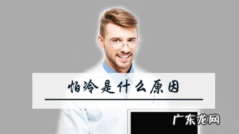 怕冷是什么原因