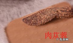 肉苁蓉和锁阳泡酒禁忌，正确食用方法和泡酒注意事项