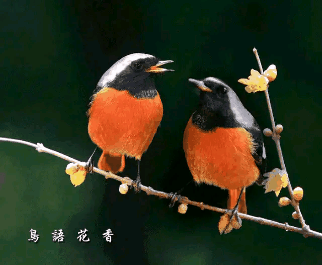 总是开心不起来该怎么办?