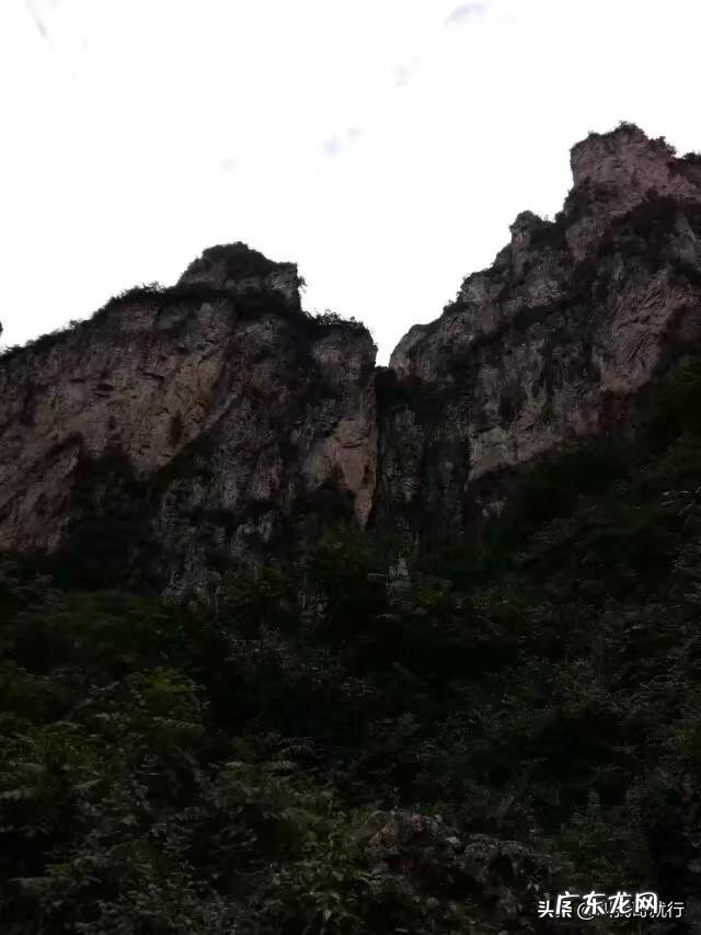 有没有辟谷减肥过的小伙伴?