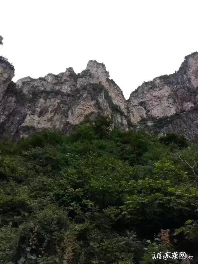 有没有辟谷减肥过的小伙伴?