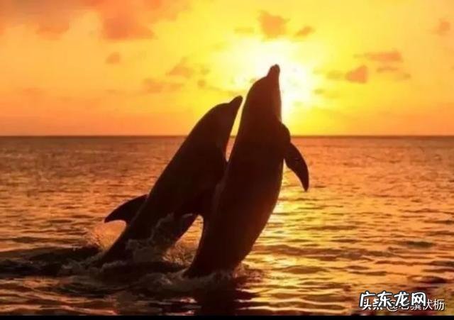 男老师,先后和两个女老师谈恋爱!俩女老师见面会尴尬吗?