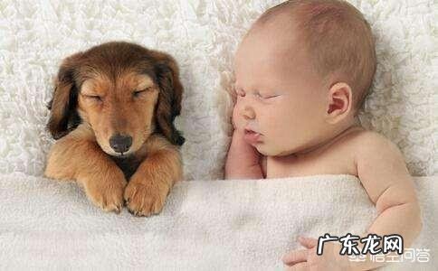 早睡早起真的可以让黑头减少、皮肤变好吗