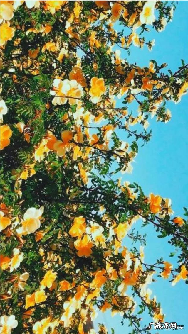 断舍离的过程中,如何说服自己?