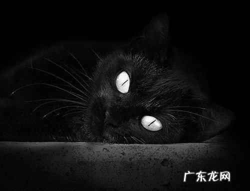 公司总体战略规划怎么写?