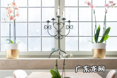 天猫618活动预售报名要求,预售支持满减吗?