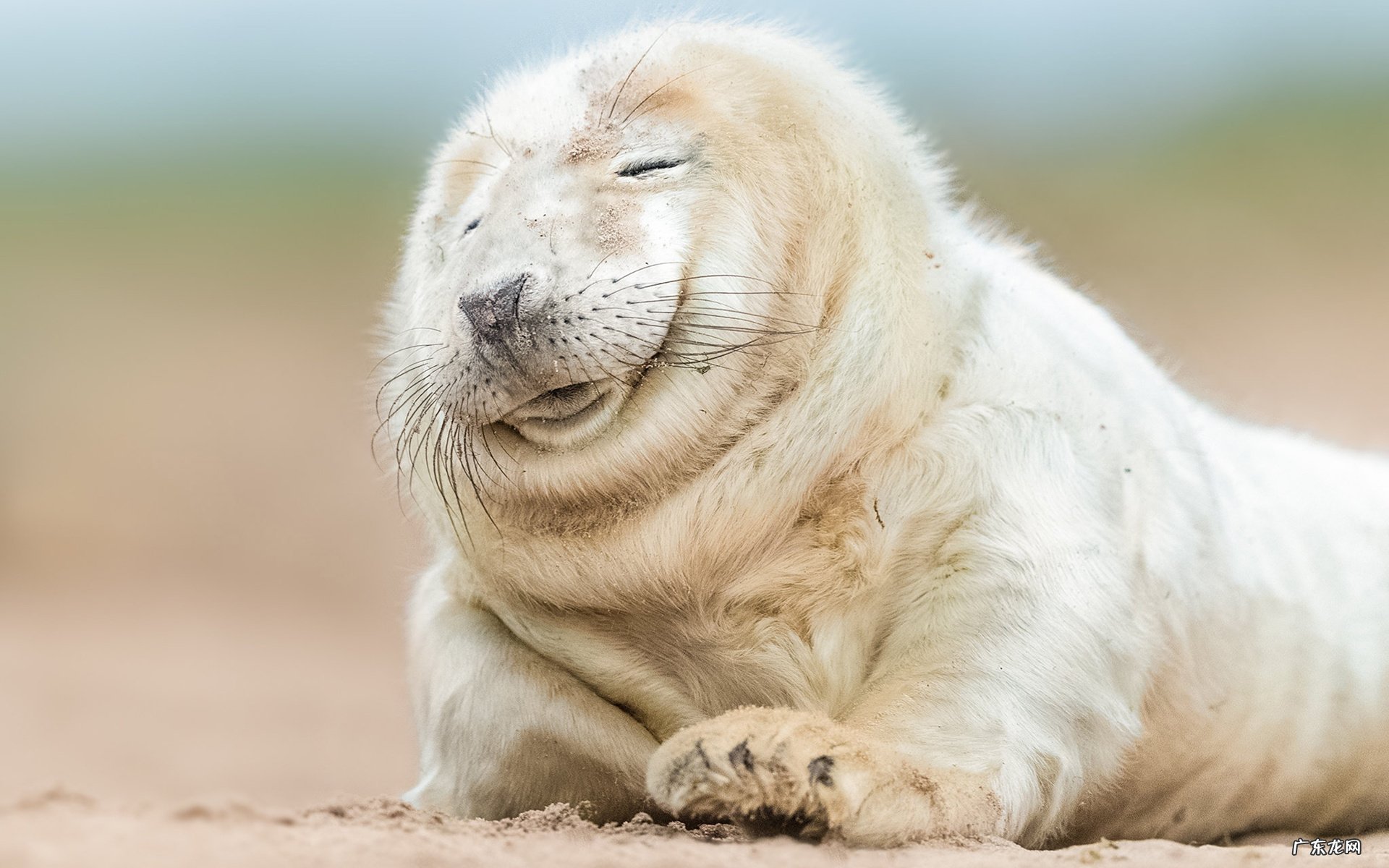 越快越好 初中生怎么减肥