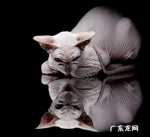 笨的衍生物什么意思、和芳香化合物有什么区别...