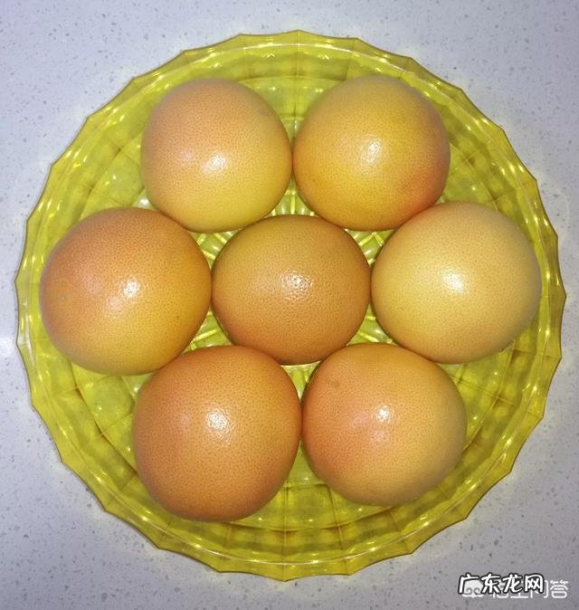 哪种水果能够提高免疫力?