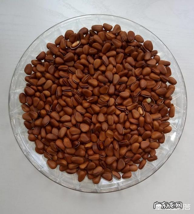 哪种水果能够提高免疫力?