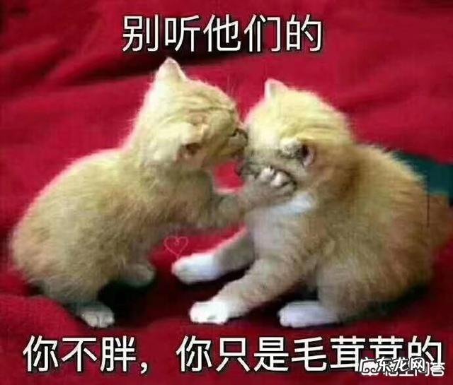 10个最好的减肥计划 每个女人都有一个减肥计划,敢不敢说说你的减肥计划?