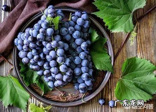 减肥可以吃葡萄吗?原因是什么?