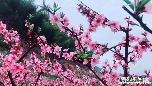 女生适合学什么技能比较好?