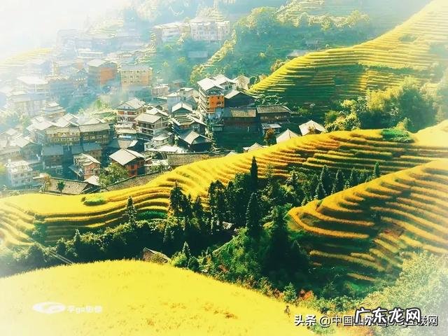 什么是美学?为什么感觉中国教育只有美术课程却没有美学课程?