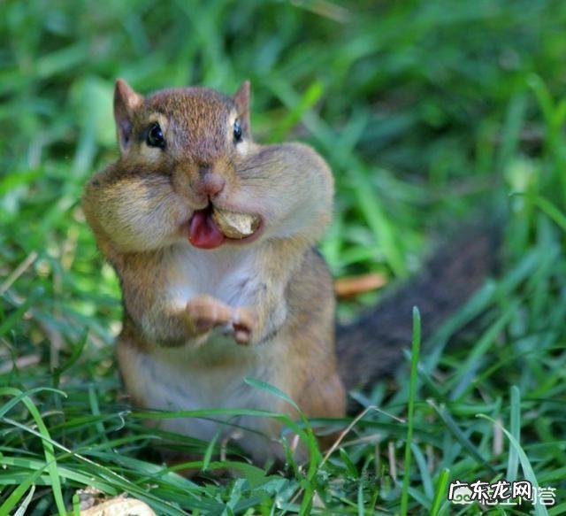 什么是美学?为什么感觉中国教育只有美术课程却没有美学课程?