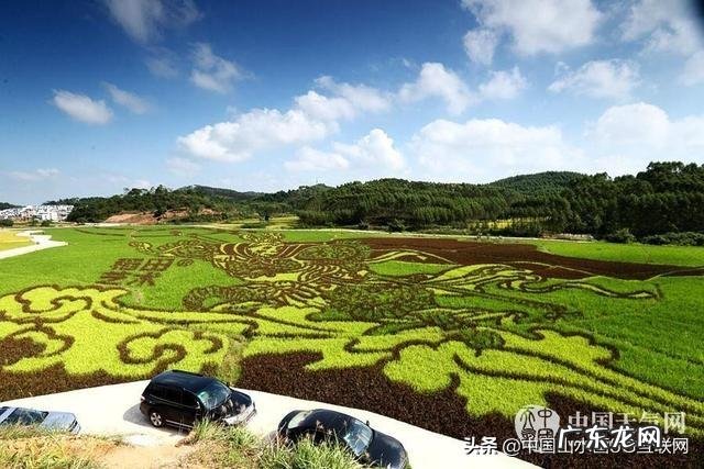 什么是美学?为什么感觉中国教育只有美术课程却没有美学课程?