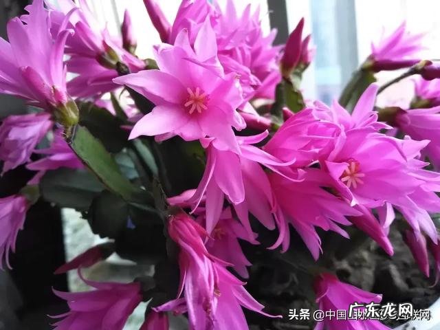 什么是美学?为什么感觉中国教育只有美术课程却没有美学课程?