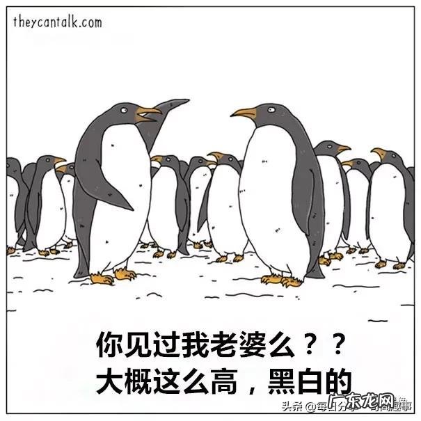2021年十大流行梗 2020年都有哪些流行的梗,说出来大家一起乐乐?