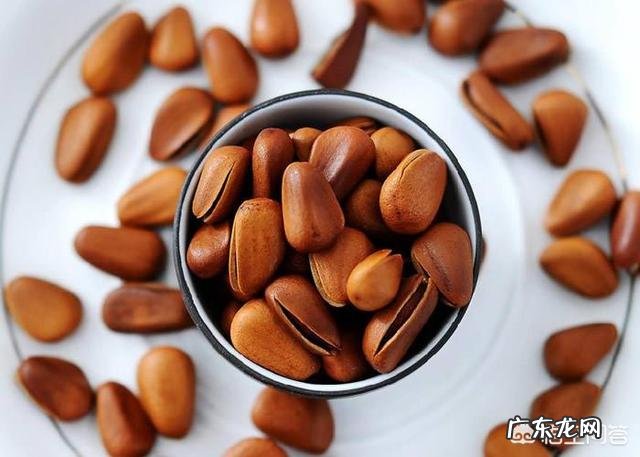 卡路里摄入量和饮食结构,哪个对减肥的影响更大?