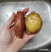 土豆丝红薯丝适合一起烙饼吃吗？