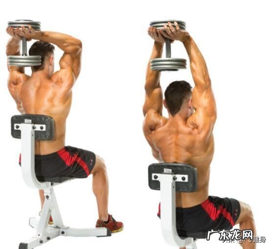 刷脂，力量训练后，蛋白粉是有氧之前喝还是力量有氧都做完之后喝