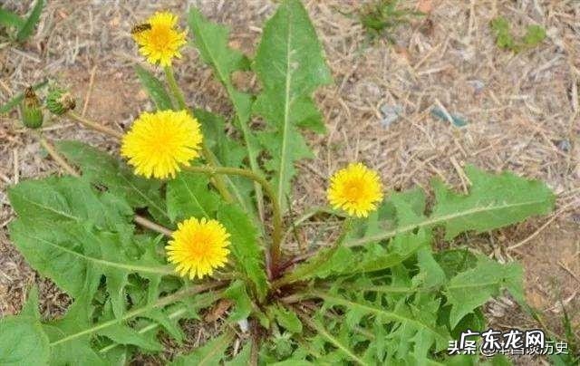 意大利新冠肺炎最新特征 为什么意大利新冠肺炎大爆发？