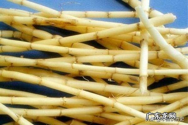 意大利新冠肺炎最新特征 为什么意大利新冠肺炎大爆发？