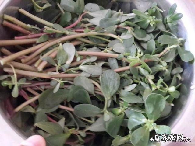 意大利新冠肺炎最新特征 为什么意大利新冠肺炎大爆发？