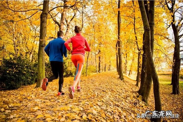 秋膘季来临,如何从饮食运动全方面打赢瘦身保卫战?