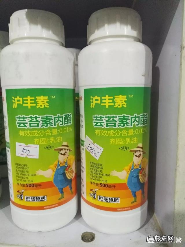 植物生长调节剂如何作用于植物