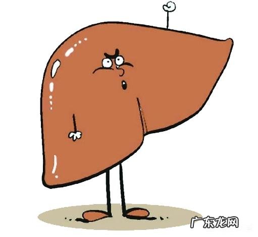 如何知道自己得了哪种类型的脂肪肝?
