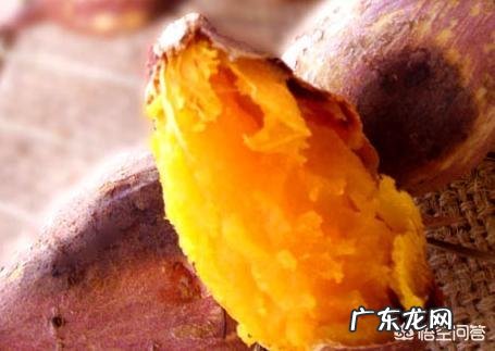 土豆，红薯淀粉含量高吗？人们吃土豆和红薯有利于减肥吗？