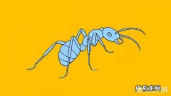 为什么蚂蚁可以举起自身重量100-400倍的东西