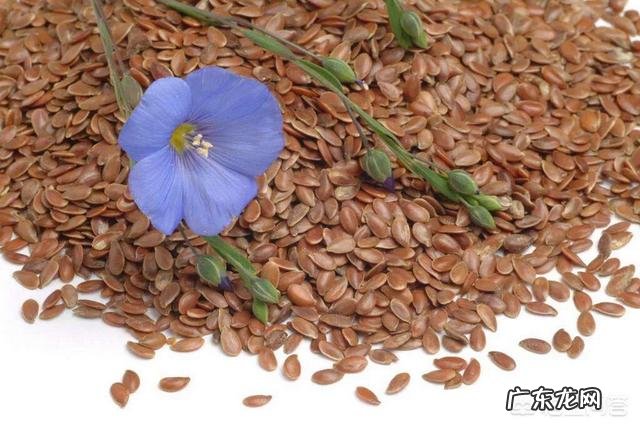 亚麻籽真的这么有奇效吗?
