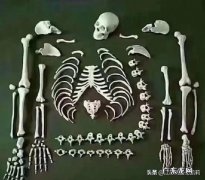 经络养生找哪家美容院好？