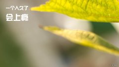 韩国家庭料理怎么做 大家喜欢韩国料理吗？为什么？