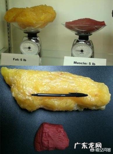 195cm、200斤,如果去健身房怎么减肥