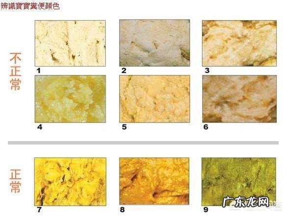 三个月的婴儿拉肚子是什么原因