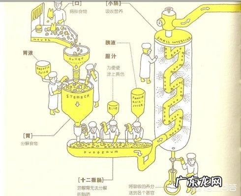 三个月的婴儿拉肚子是什么原因