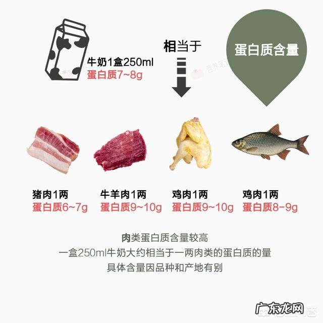 吃什么可以增加抵抗力?补充蛋白粉有用吗?