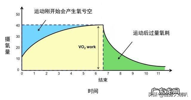 跑步与爬楼梯,哪个更能减肥?哪个对膝盖的伤害少?