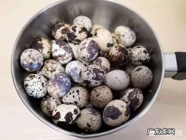 鹌鹑蛋都有哪些吃法，你最喜欢哪种？