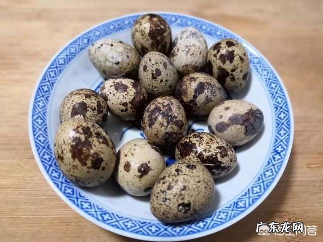 鹌鹑蛋都有哪些吃法，你最喜欢哪种？
