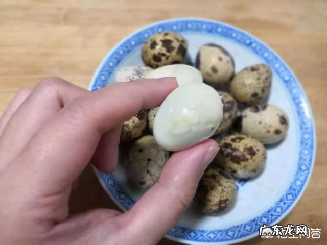 鹌鹑蛋都有哪些吃法，你最喜欢哪种？