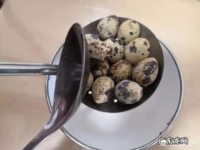 鹌鹑蛋都有哪些吃法，你最喜欢哪种？