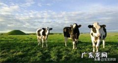 宝宝有机奶粉和普通奶粉的区别是什么。有值得推荐的品牌吗