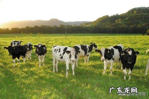 宝宝有机奶粉和普通奶粉的区别是什么。有值得推荐的品牌吗